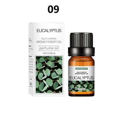 Aroma Difüzör ve Nemlendirici için 10ml Doğal Uçucu Yağ